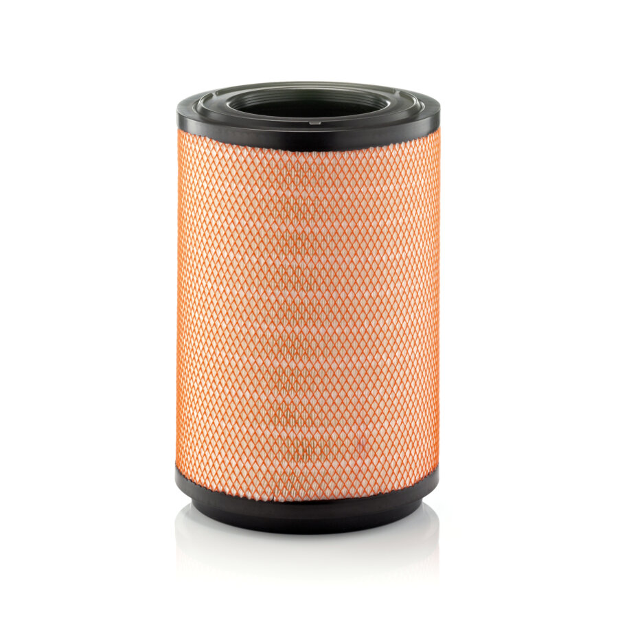 Air Filter C311254