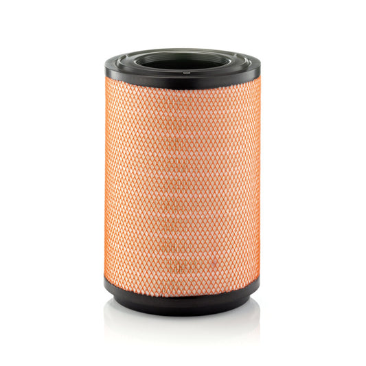 Air Filter C311254